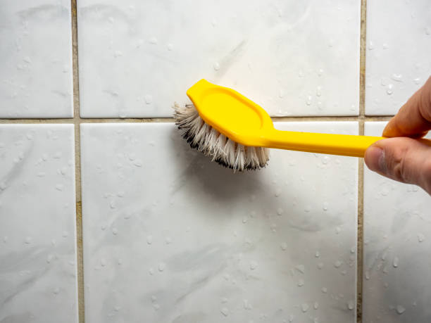 Best Post-Remediation Services in Darien, WI
